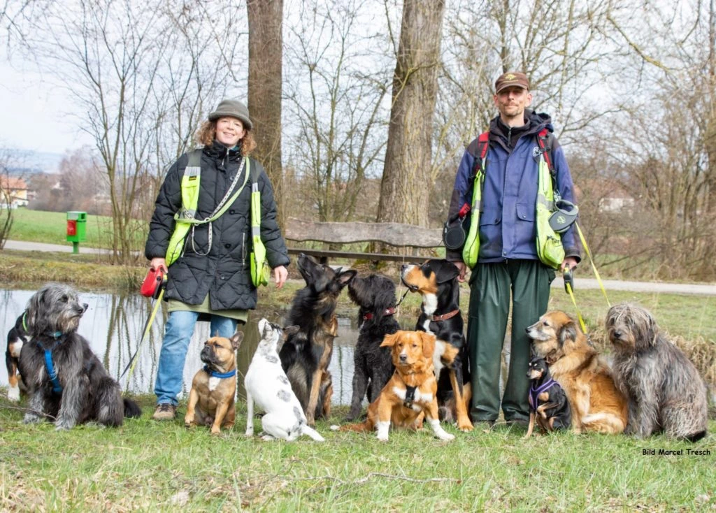 Tagesbetreuung "HUNDE