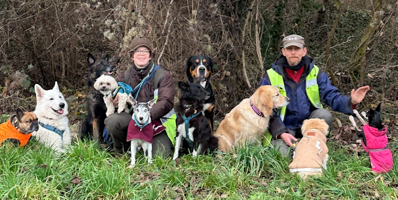 Hundepension - wuffrudel.ch